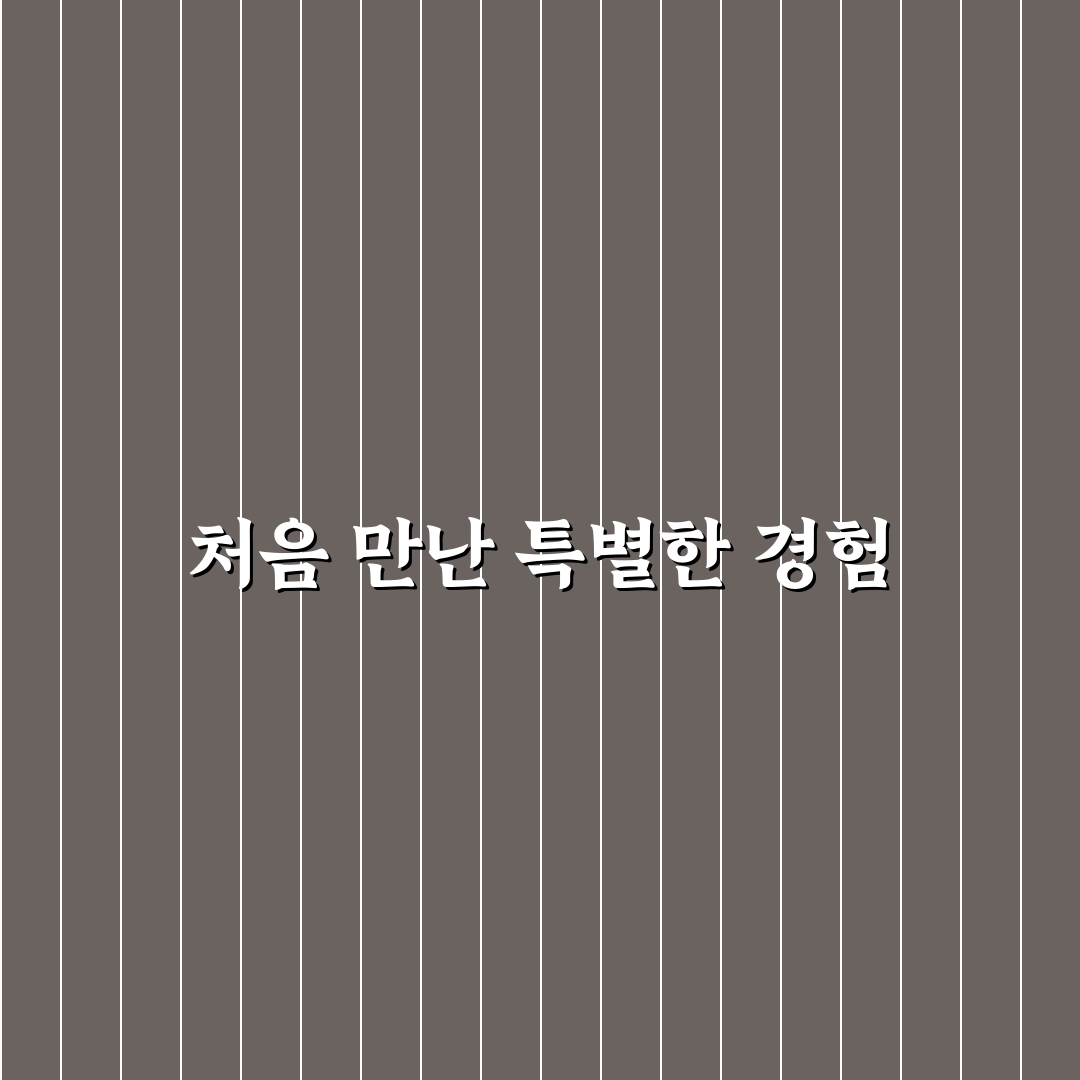이미지 압축 플러그인 비교로 찾는 최적 선택법 사용후기