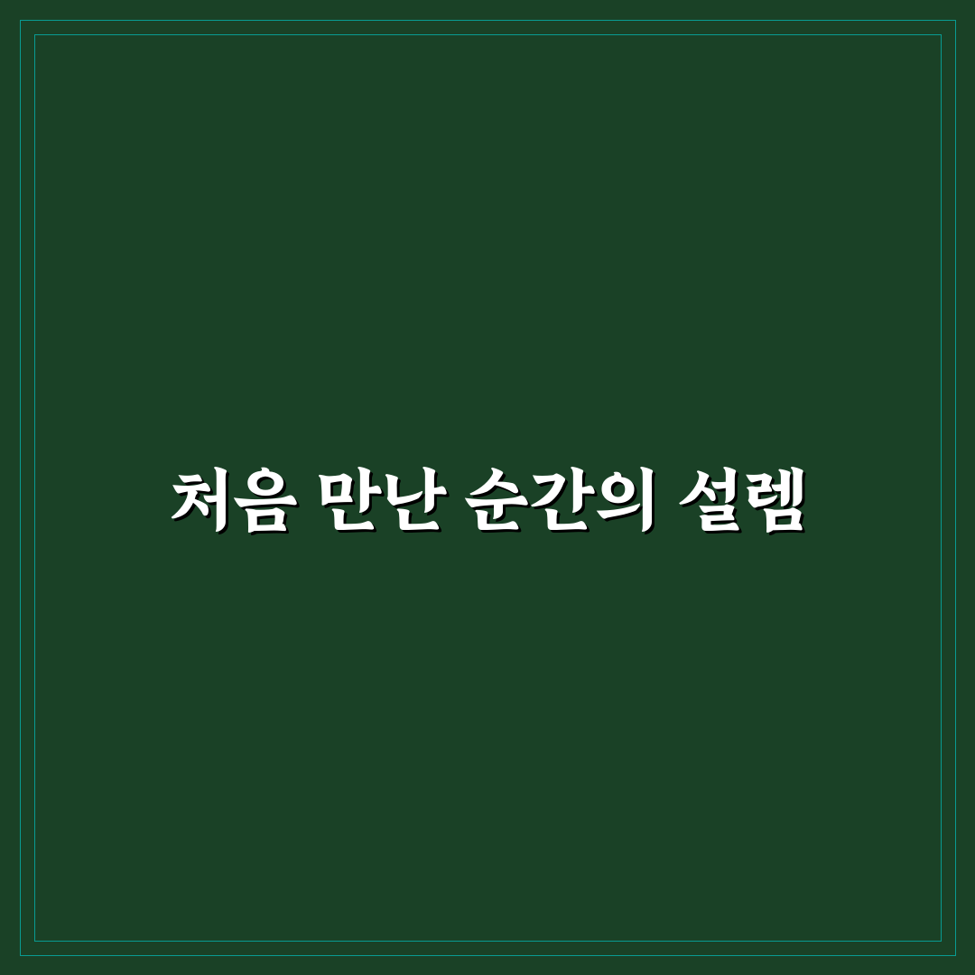 선택 고민 줄여주는 비교 콘텐츠 작성 핵심 원칙 직접 써본 후기