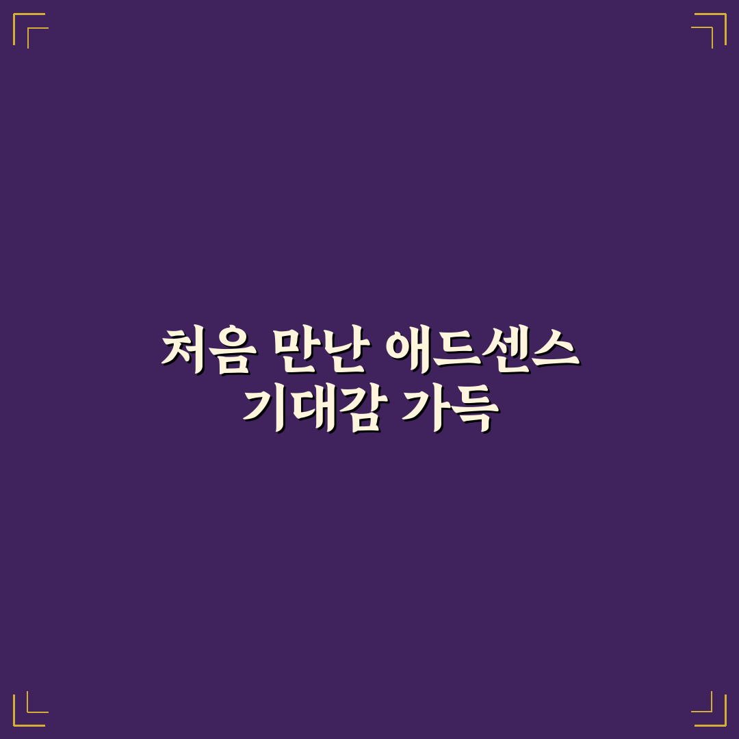 애드센스 승인률 높이는 콘텐츠 운영 기준 직접 써본 후기