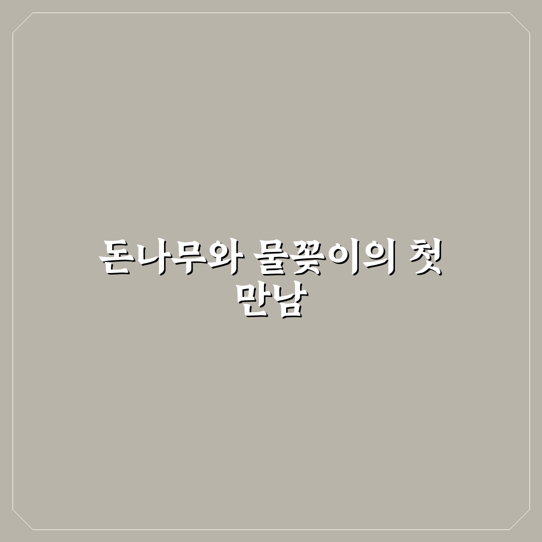 돈나무 물꽂이 사용 후기, 직접 키워보니 알게 된 점