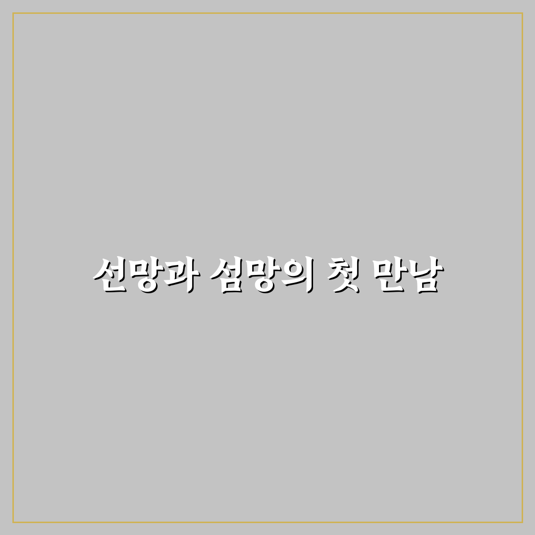 선망 섬망 차이 직접 알아보니 헷갈리는 부분들