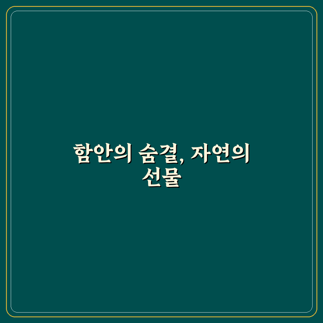 함안 샤스타데이지 방문 후기, 꽃밭에서 느낀 소소한 매력
