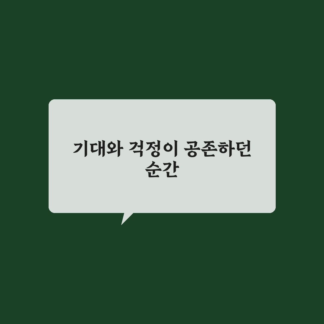 정보성 글과 수익형 글 균형 잡는 콘텐츠 운영법 사용후기