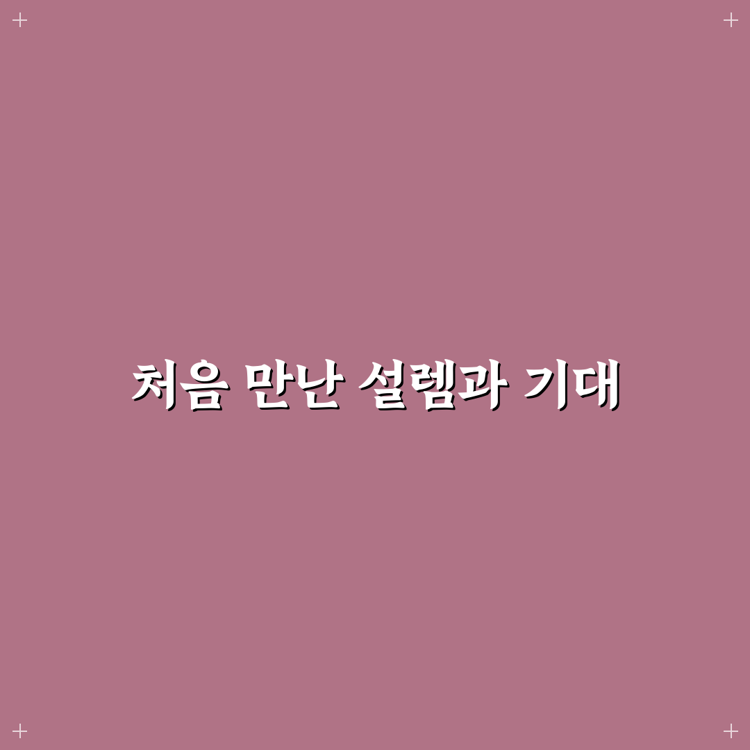 검색 의도별 비교 글 주제 발굴하는 방법 정리 직접 써본 후기