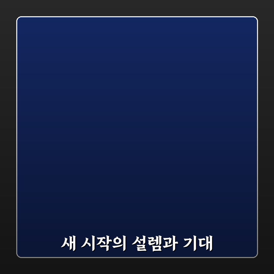 리치 결과 노출에 유리한 SEO 플러그인 선택법 직접 써본 후기