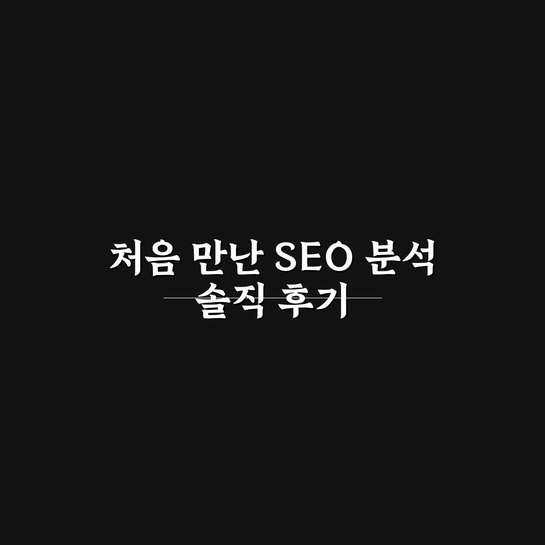블로그 초보에게 맞는 SEO 분석 도구 추천 정리 사용후기