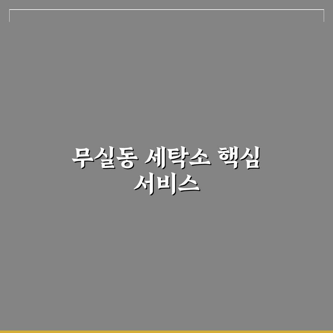 무실동 크린토피아 이용 꿀팁과 서비스 후기 정리
