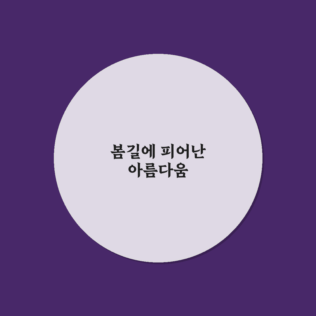 부산 이팝나무 명소 방문 후기, 봄 풍경 직접 느껴보니
