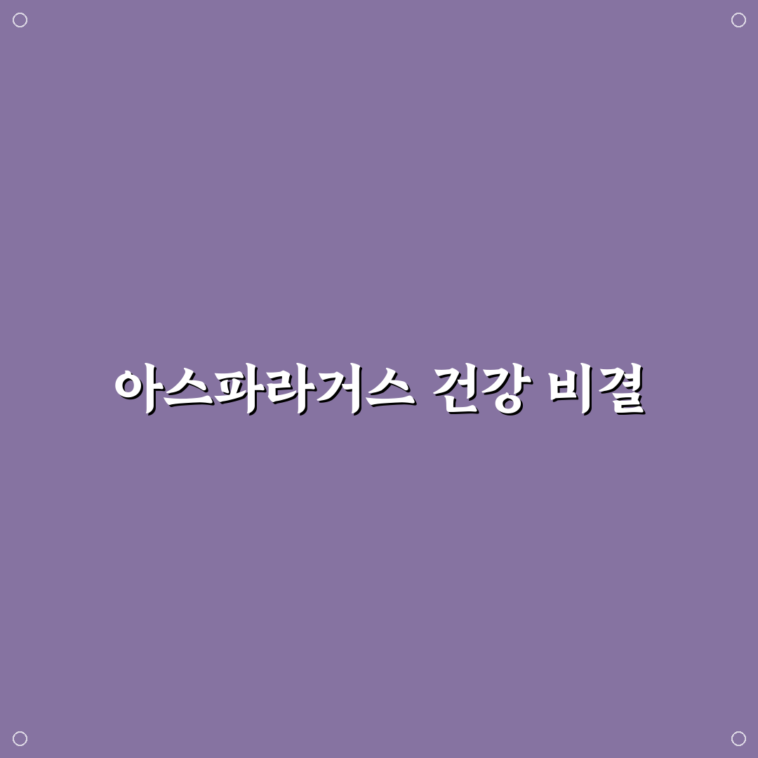 아스파라거스 효능 먹는법과 초보자 꿀팁 정리