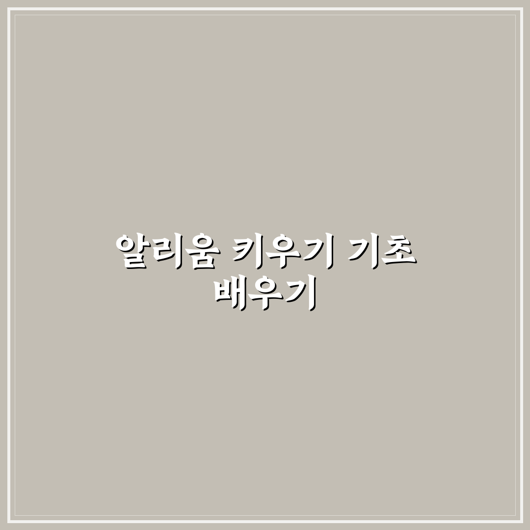 알리움키우기 방법과 꿀팁 쉽게 알려드려요