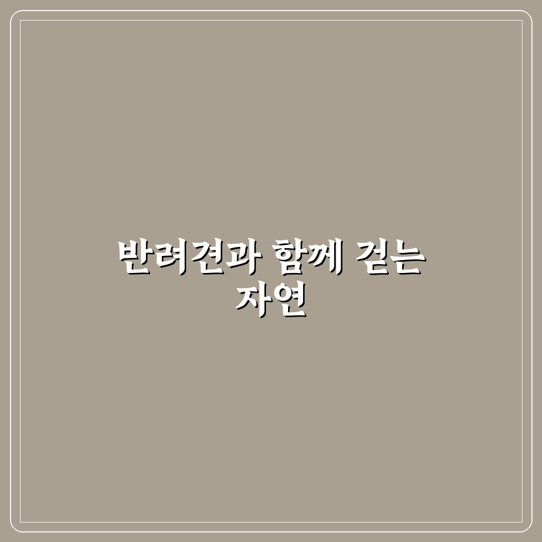 악양생태공원 애견동반 방문 꿀팁과 시설 이용법 공유
