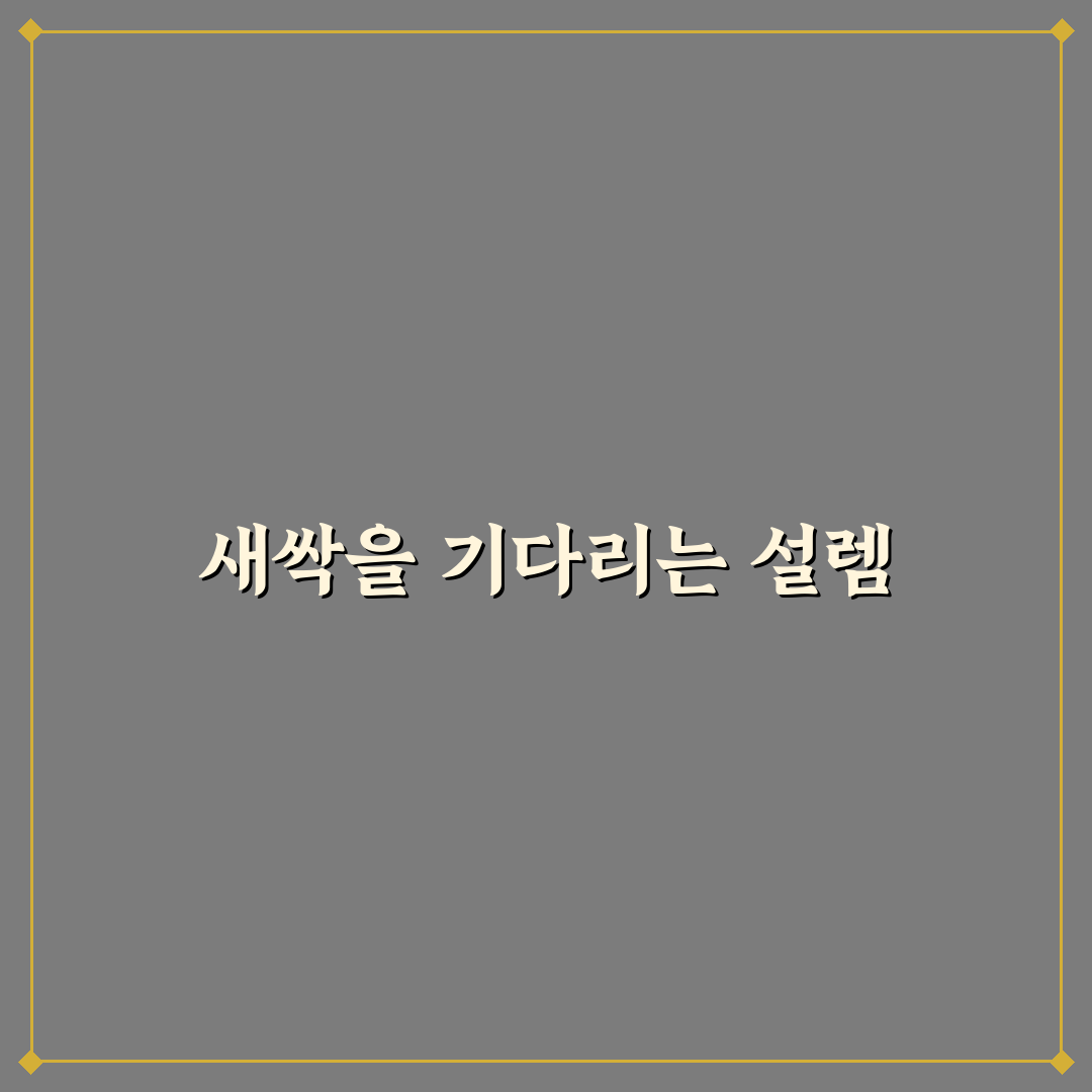 땅두릅 씨앗 파종시기 직접 알아보니 효과적이었어요