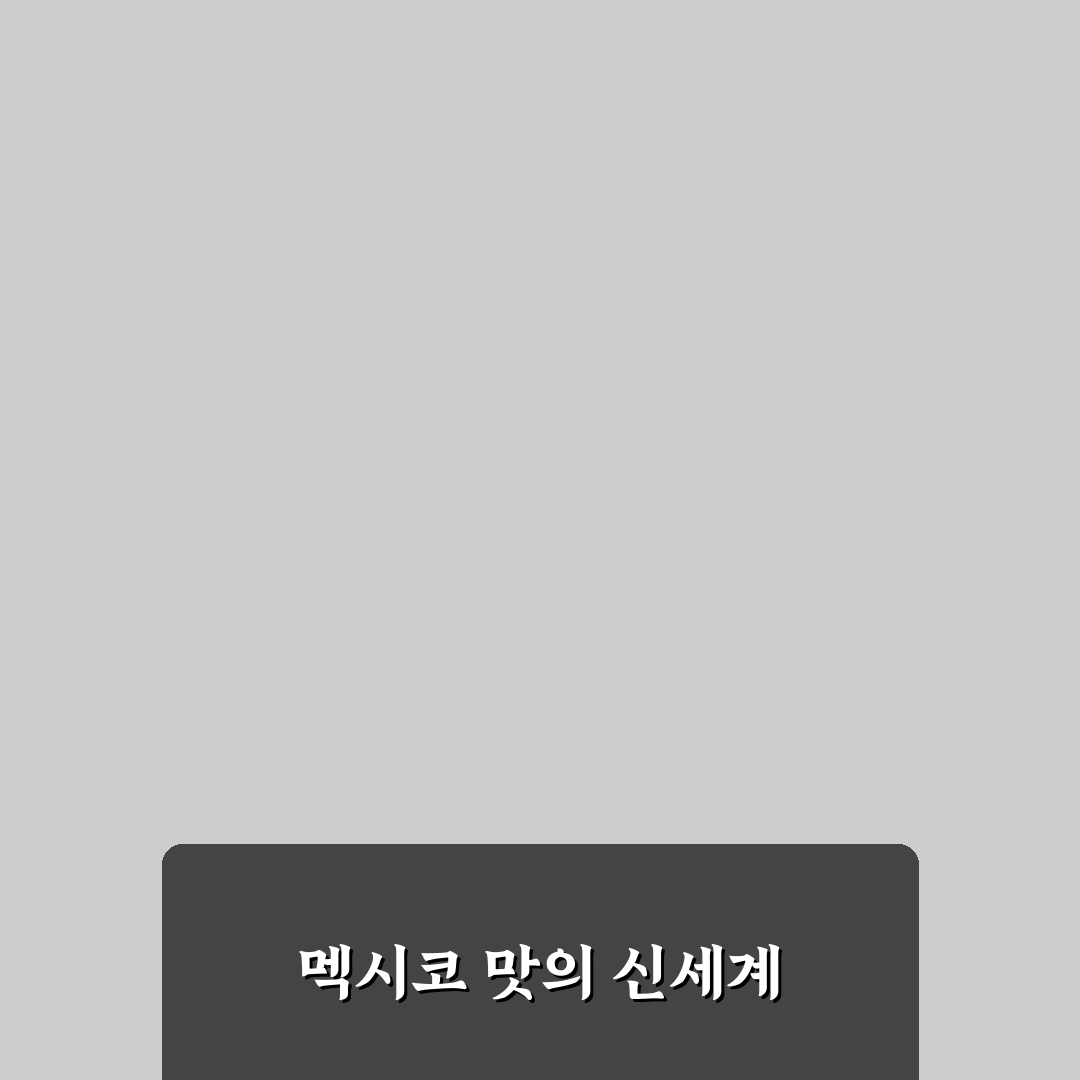 동명동 타코 방문 후기, 맛과 분위기 솔직하게 써봤어요