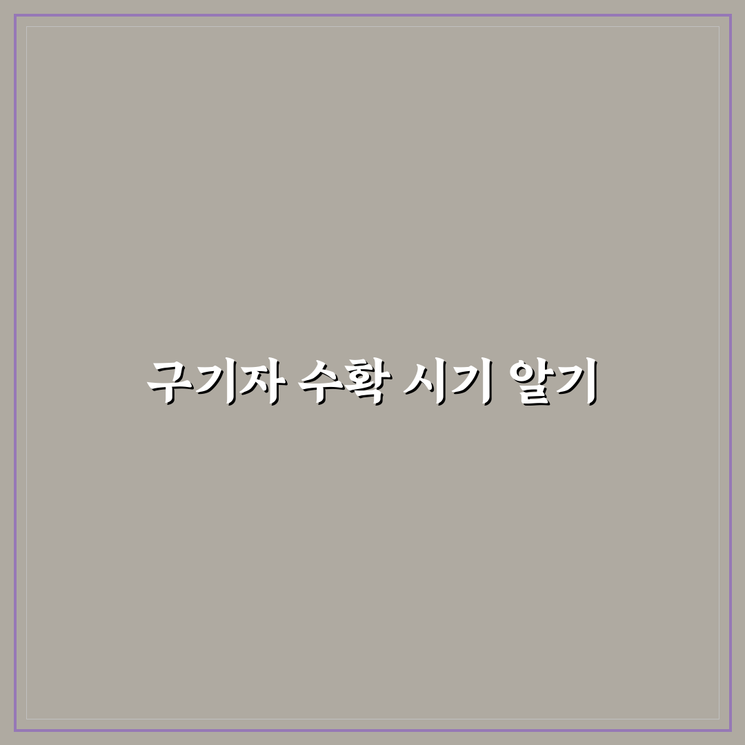 구기자수확시기 알아두면 좋은 꿀팁 정리