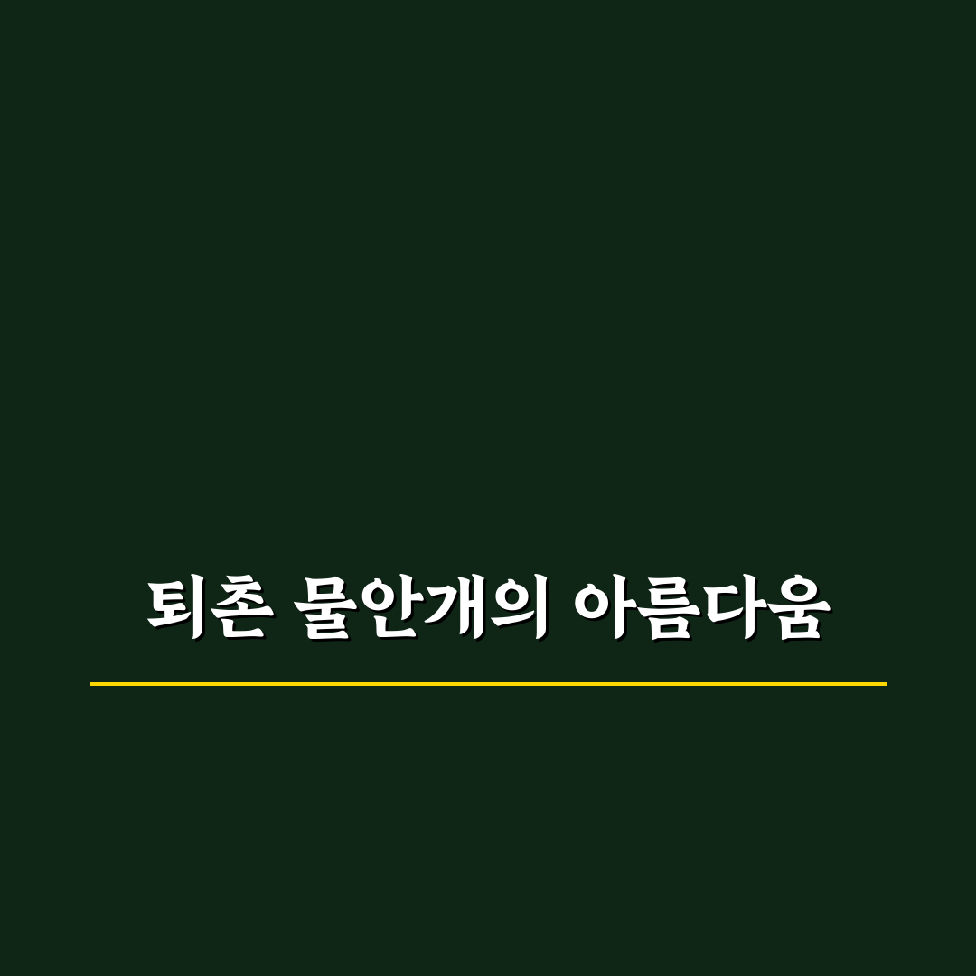 퇴촌 물안개공원 방문 꿀팁과 볼거리 쉽게 알려드려요