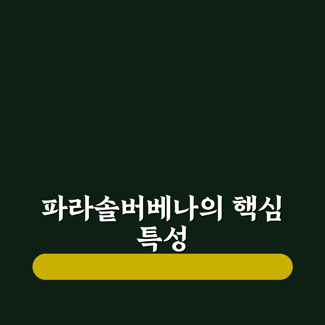 파라솔버베나 키우기와 관리 꿀팁 알려드려요