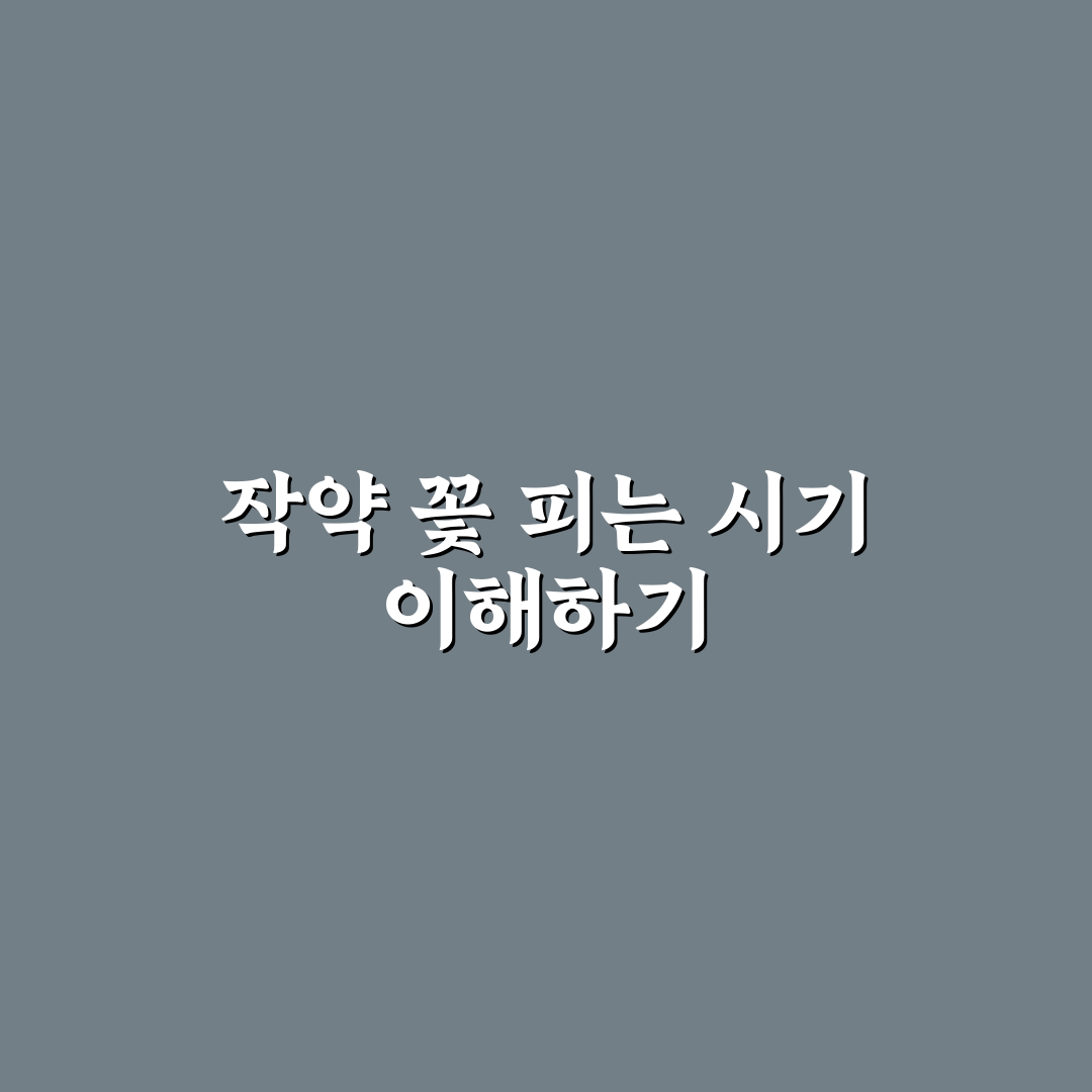 작약 개화시기와 특징 쉽게 알아보는 꿀팁
