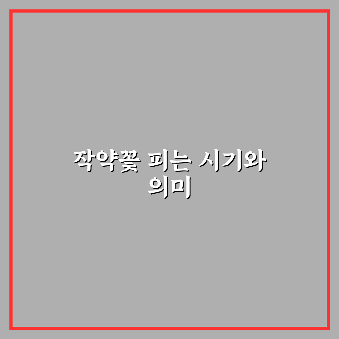 작약꽃 피는 시기와 관리 방법 쉽게 알려드려요