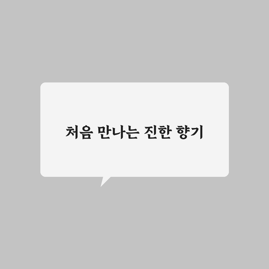 할메가커피 카페인 직접 알아보니 잠 깨는 정도가 달랐어요