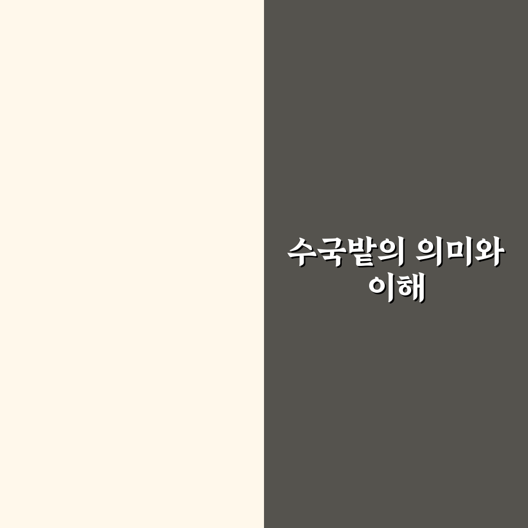 답다니 수국밭 방문 꿀팁과 풍경 소개 공유
