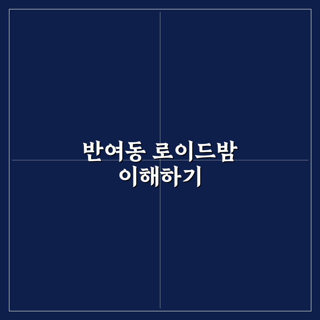 반여동 로이드밤 사용법과 꿀팁 쉽게 알려드려요