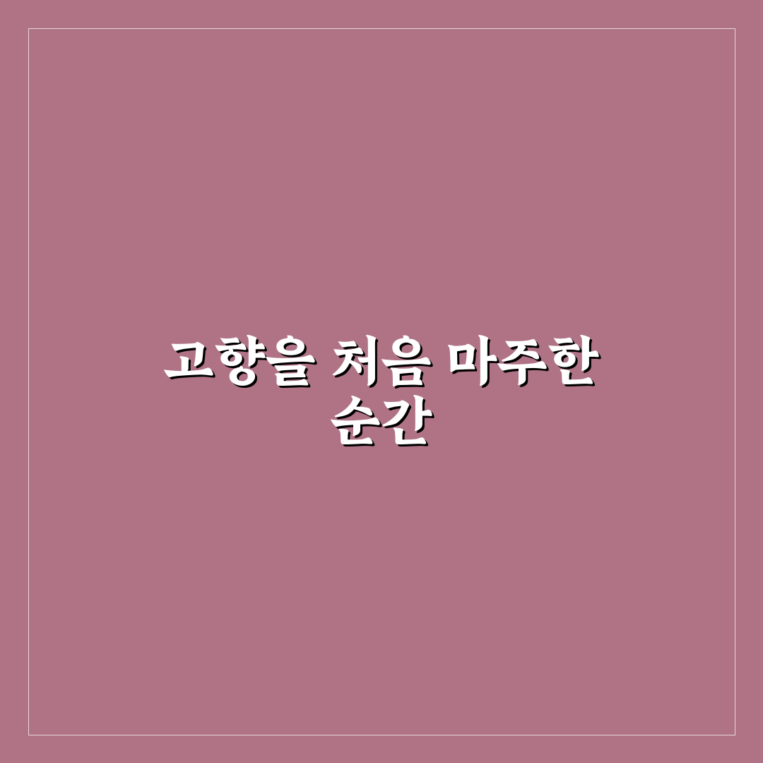 남인순 고향 방문 후기, 직접 가보니 알게 된 점