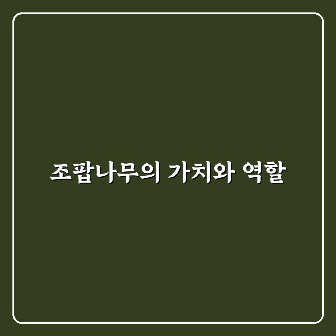 조팝나무 묘목 선택과 관리 꿀팁 알려드려요