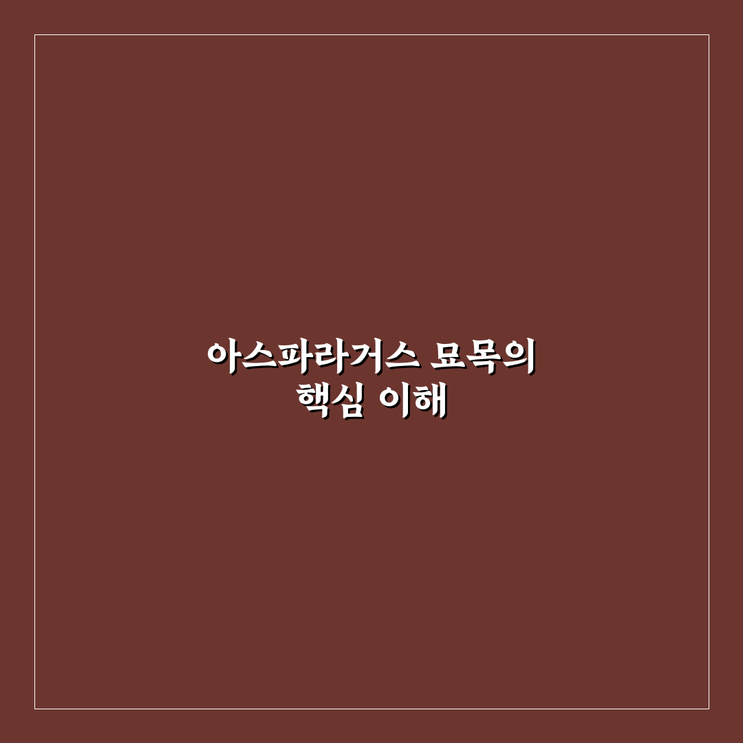아스파라거스 묘목 키우기 꿀팁과 관리법 알려드려요