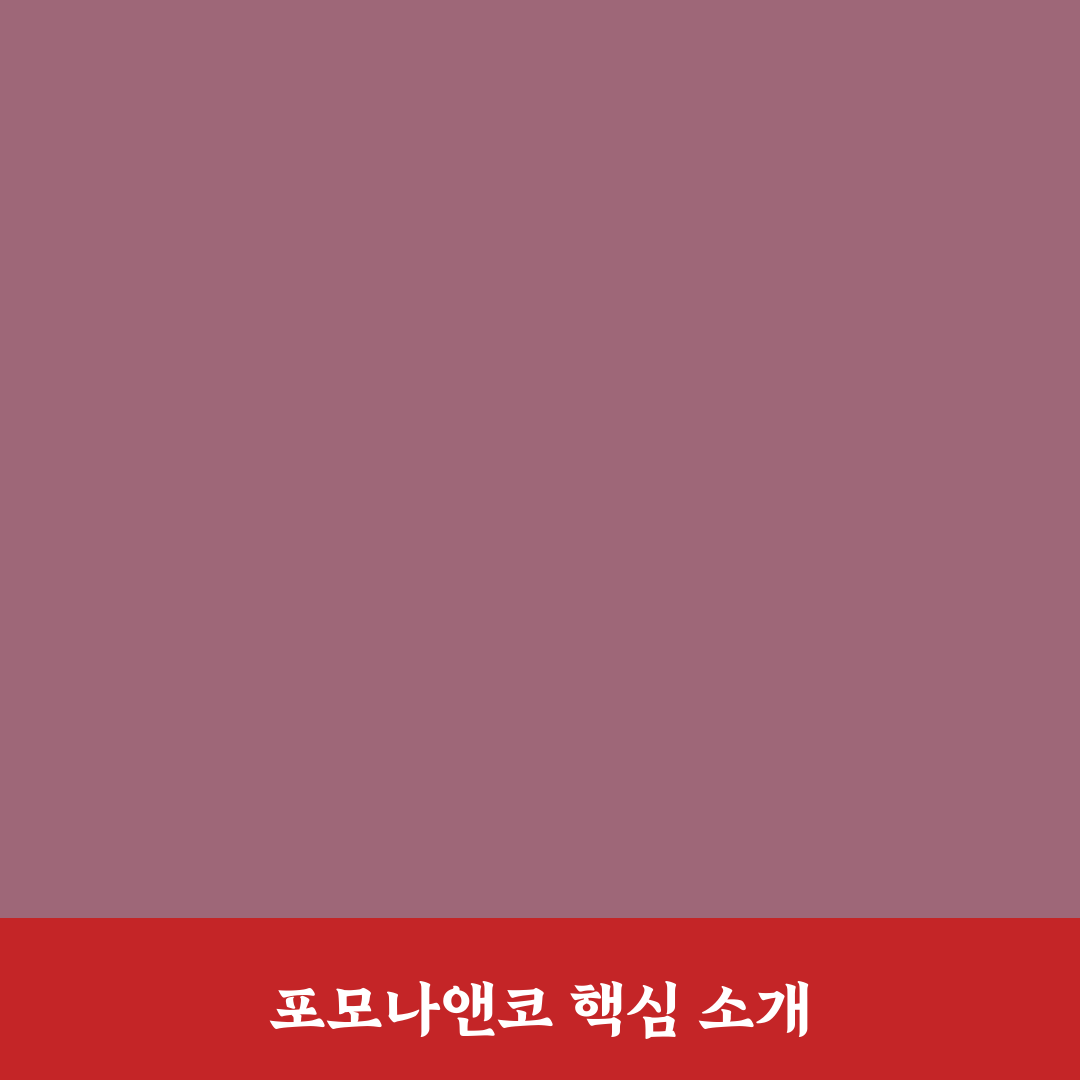 포모나앤코 사용법과 꿀팁 쉽게 정리하기