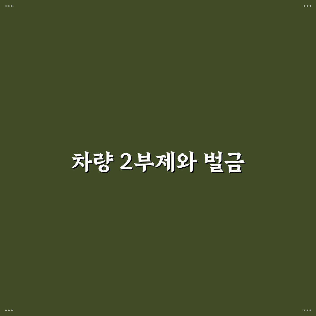 차량 2부제 벌금 꿀팁과 유의사항 정리