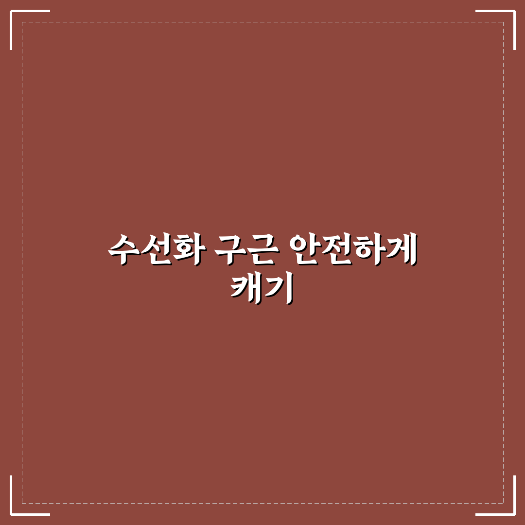 수선화 구근 캐기 꿀팁 공유와 방법 안내