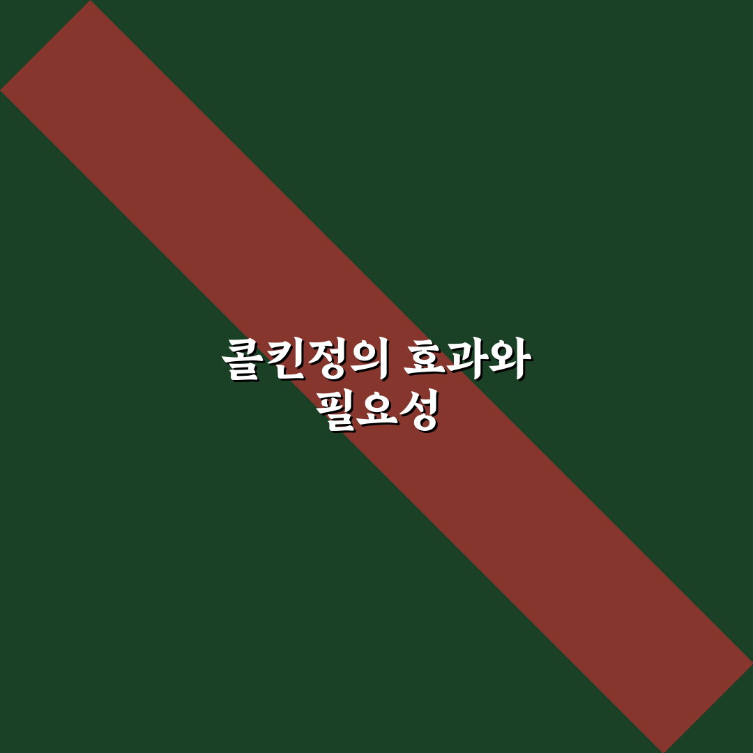 통풍약 콜킨정 꿀팁과 효과 정리하기