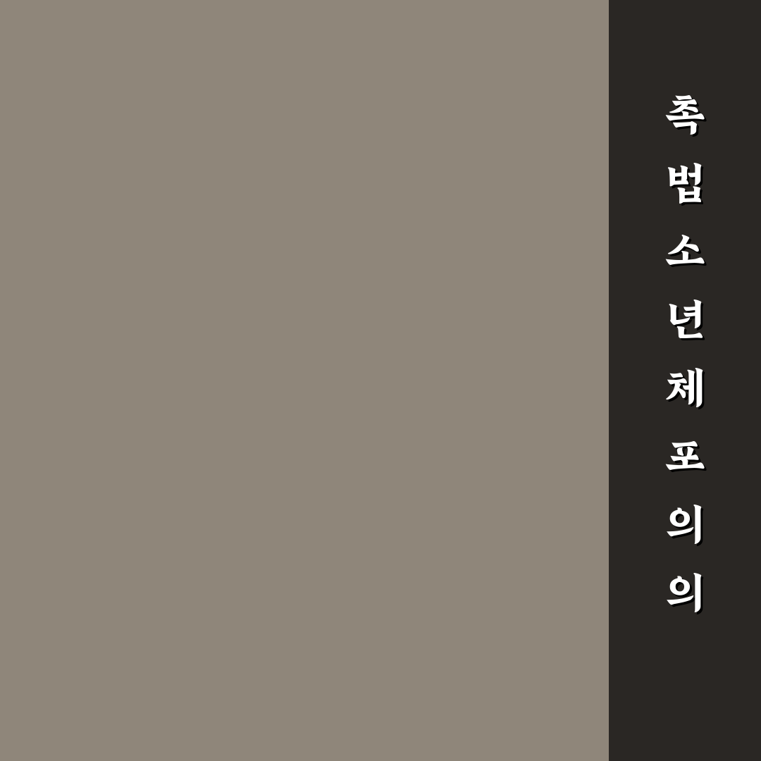 촉법소년 현행범체포 주요 사실과 대응 방안 정리