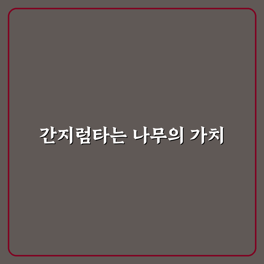 간지럼타는 나무의 특징과 효과적인 관리 팁 공유