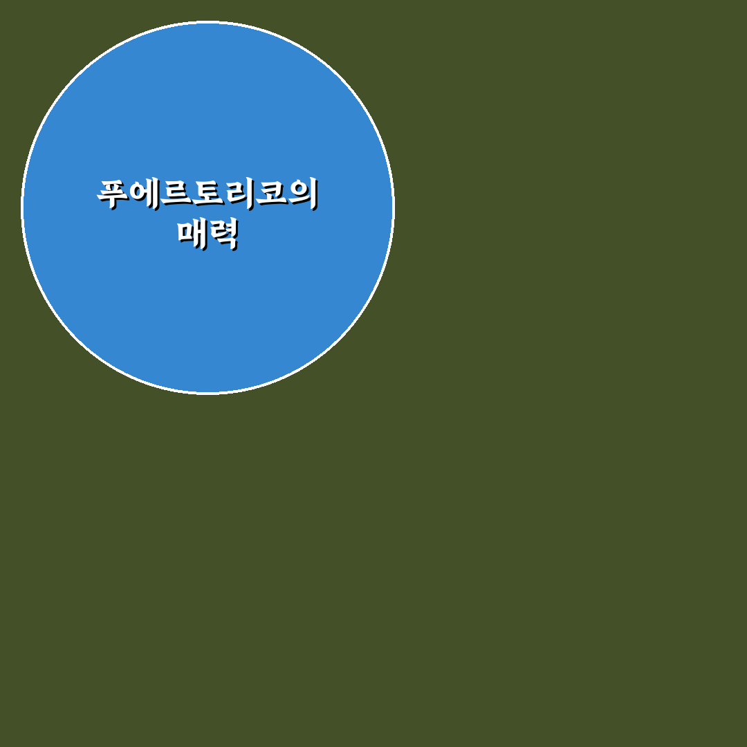 푸에르토리코 보드게임 추천과 꿀팁 공유합니다