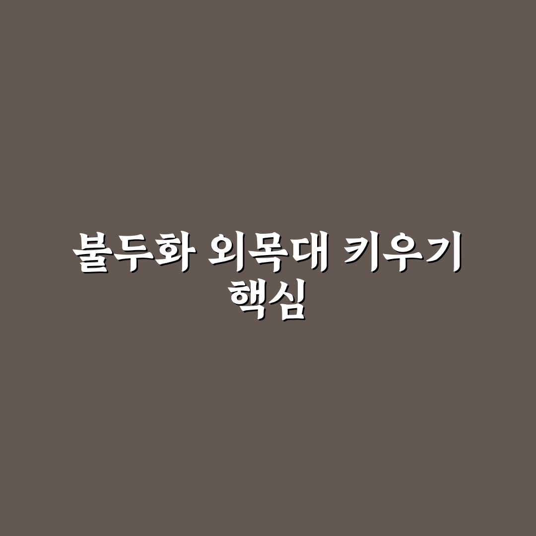 불두화 외목대 키우기 방법과 꿀팁 쉽게 알려드려요