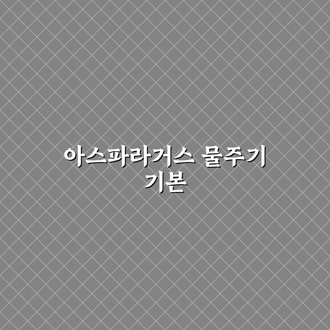 아스파라거스 메이리 물주기 꿀팁 공유합니다