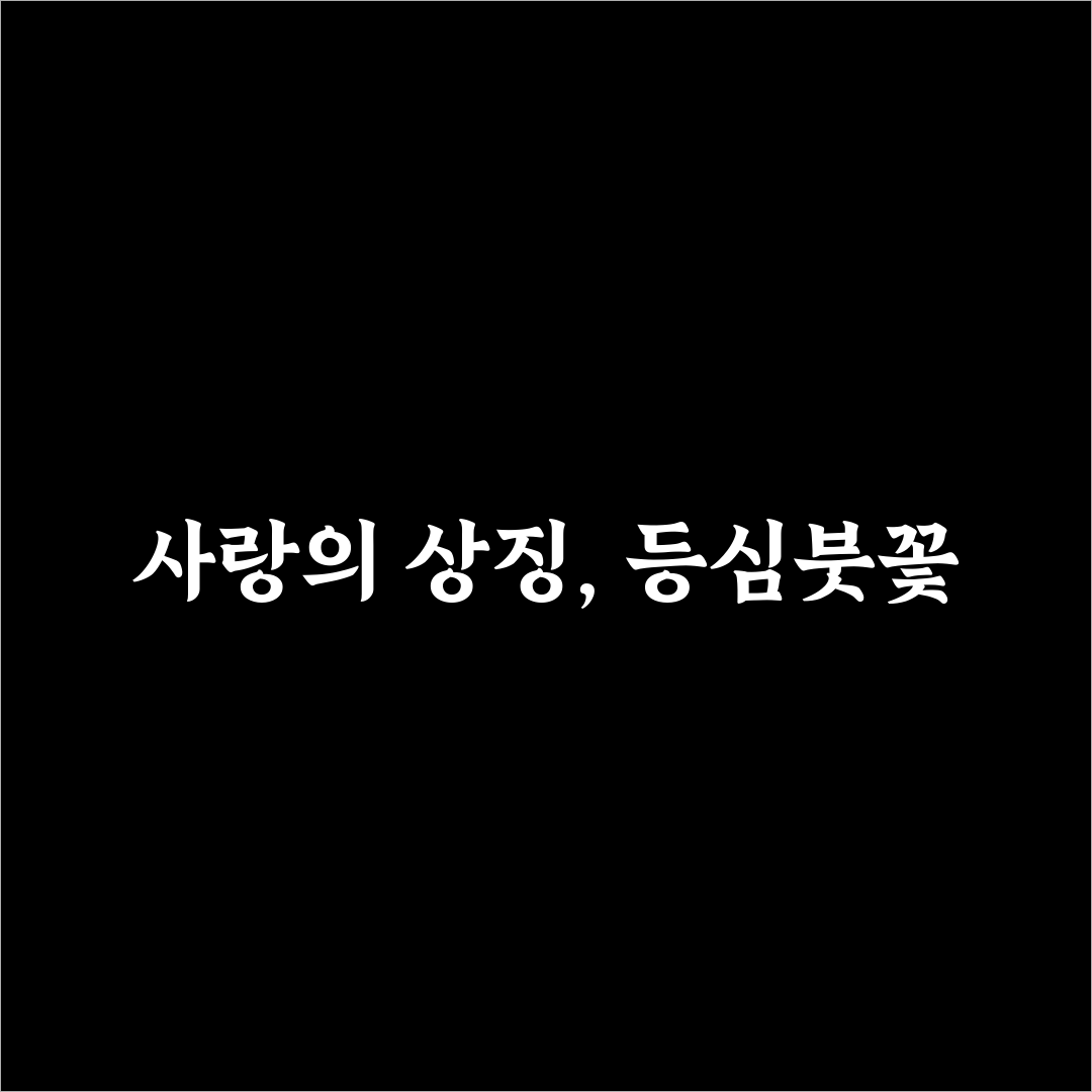 등심붓꽃 꽃말과 그 의미를 알려드려요