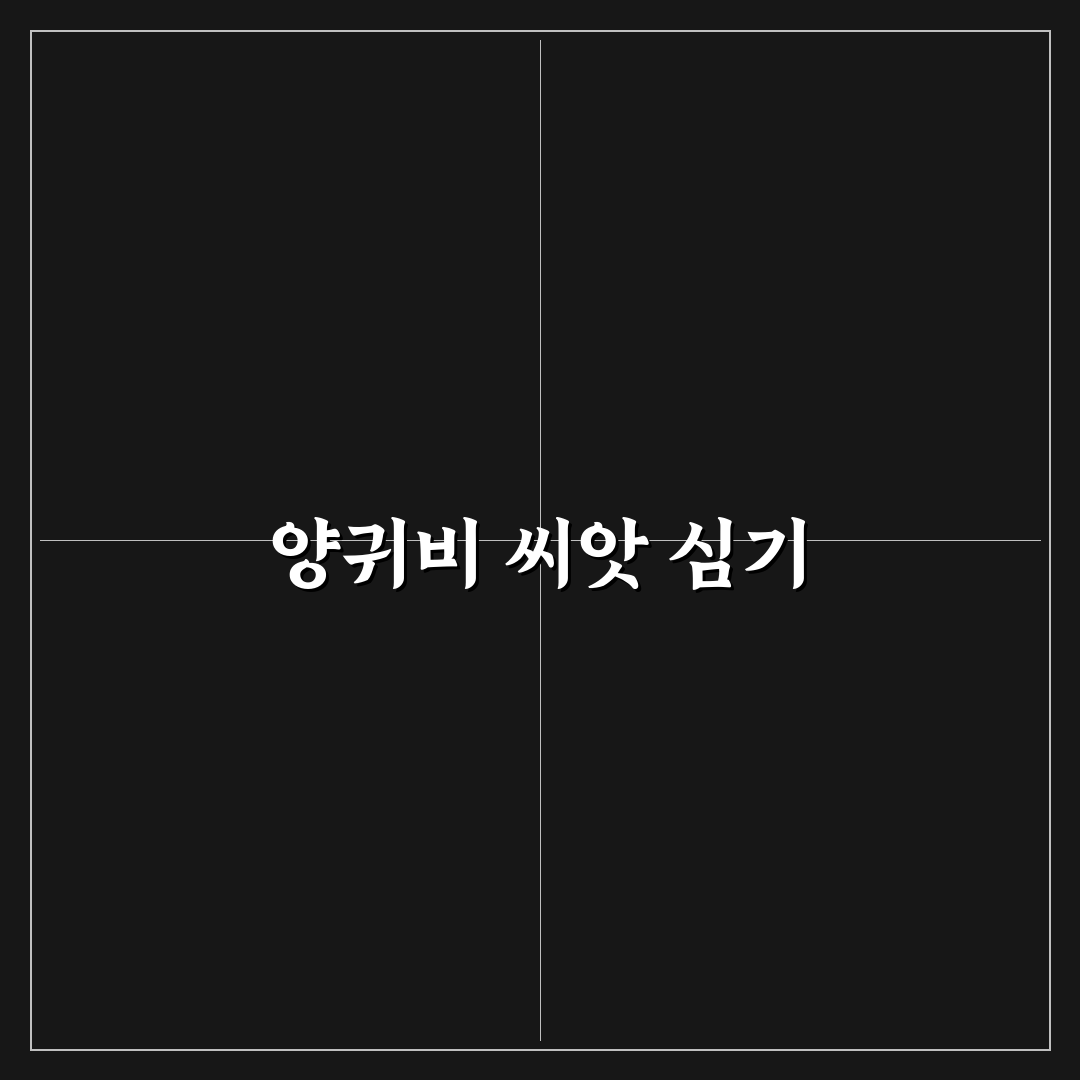 양귀비꽃 씨앗 파종방법 꿀팁 알려드립니다