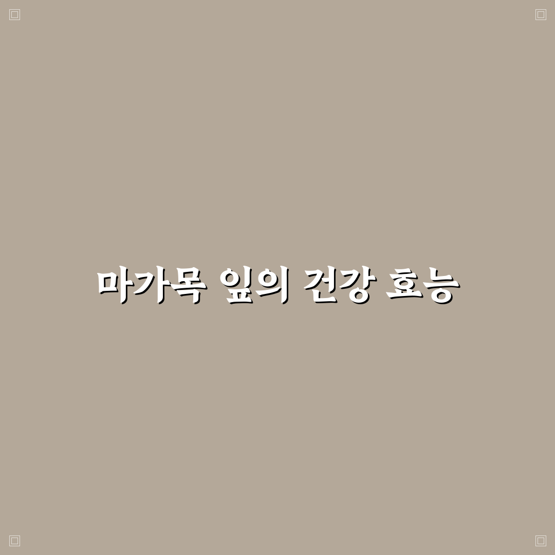 마가목 잎 먹는법 꿀팁과 요리법 정리