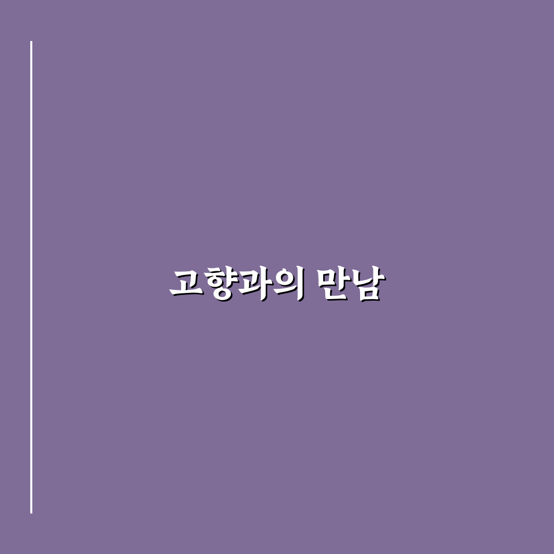 양재역 나살던고향 꿀팁과 매력적인 장소 정리