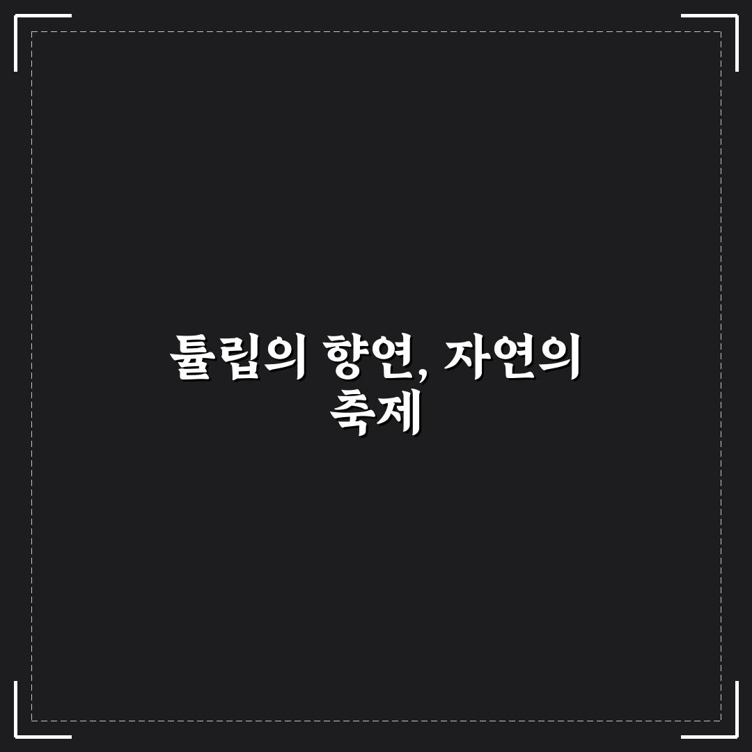 태안 튤립축제 실시간 꿀팁과 관람 정보 정리