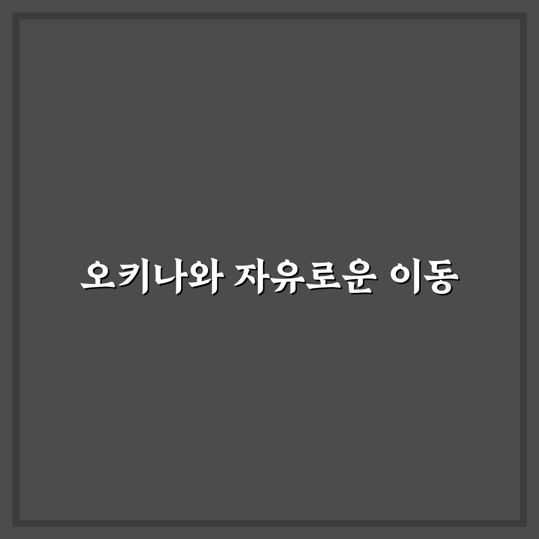 오키나와 달인 렌트카 꿀팁과 이용 방법 정리