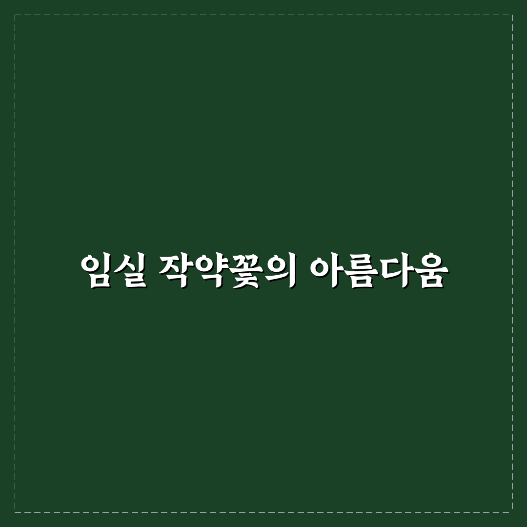 임실 작약꽃 축제 즐기는 방법과 꿀팁 공유