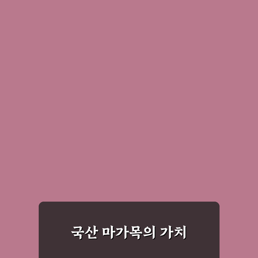 마가목 말린 국산 추천 및 활용 꿀팁 정리