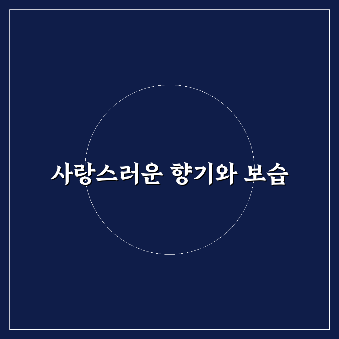 바이레도 라튤립 바디로션 추천 꿀팁 정리