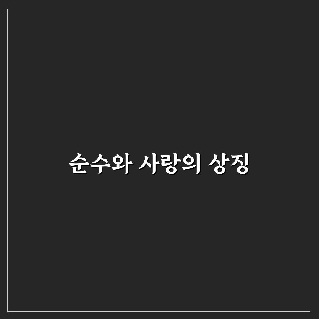 하얀장미 꽃말과 그 의미를 알려드려요