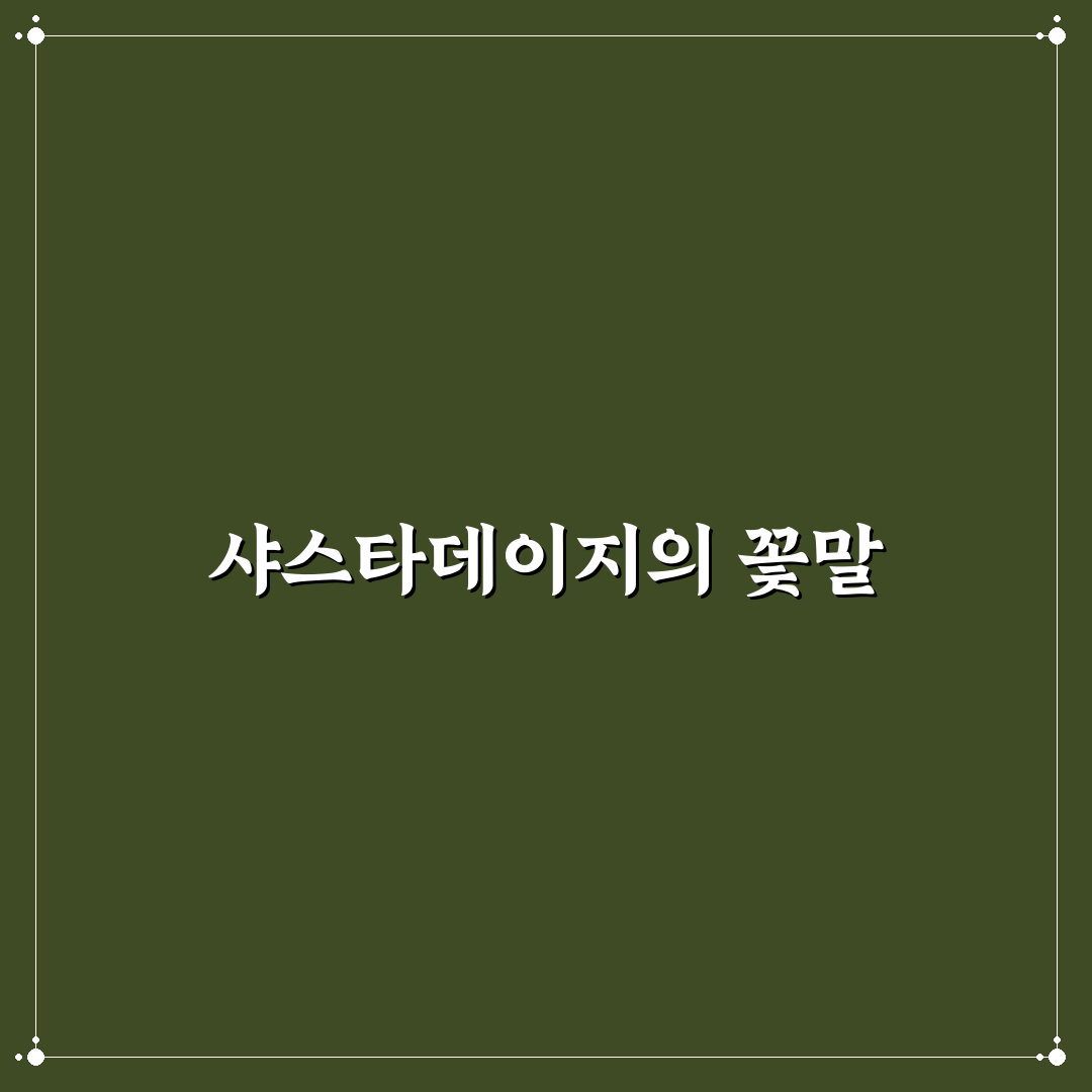 샤스타데이지 개화시기 꿀팁과 관리법 정리