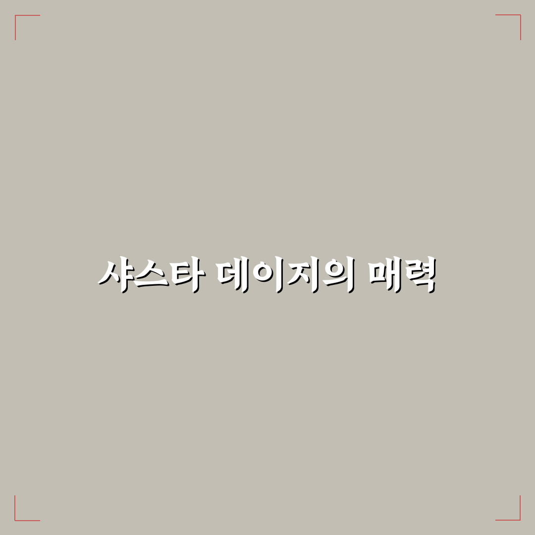 공주 샤스타 데이지의 매력과 키우는 꿀팁 공유