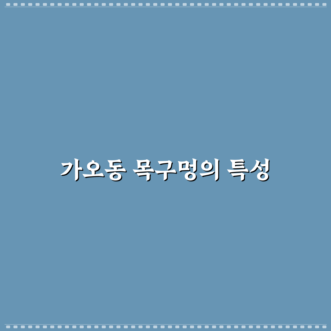 대전 가오동 목구멍 맛집 추천 및 꿀팁 정리